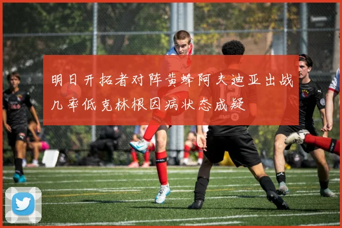 明日开拓者对阵黄蜂阿夫迪亚出战几率低克林根因病状态成疑